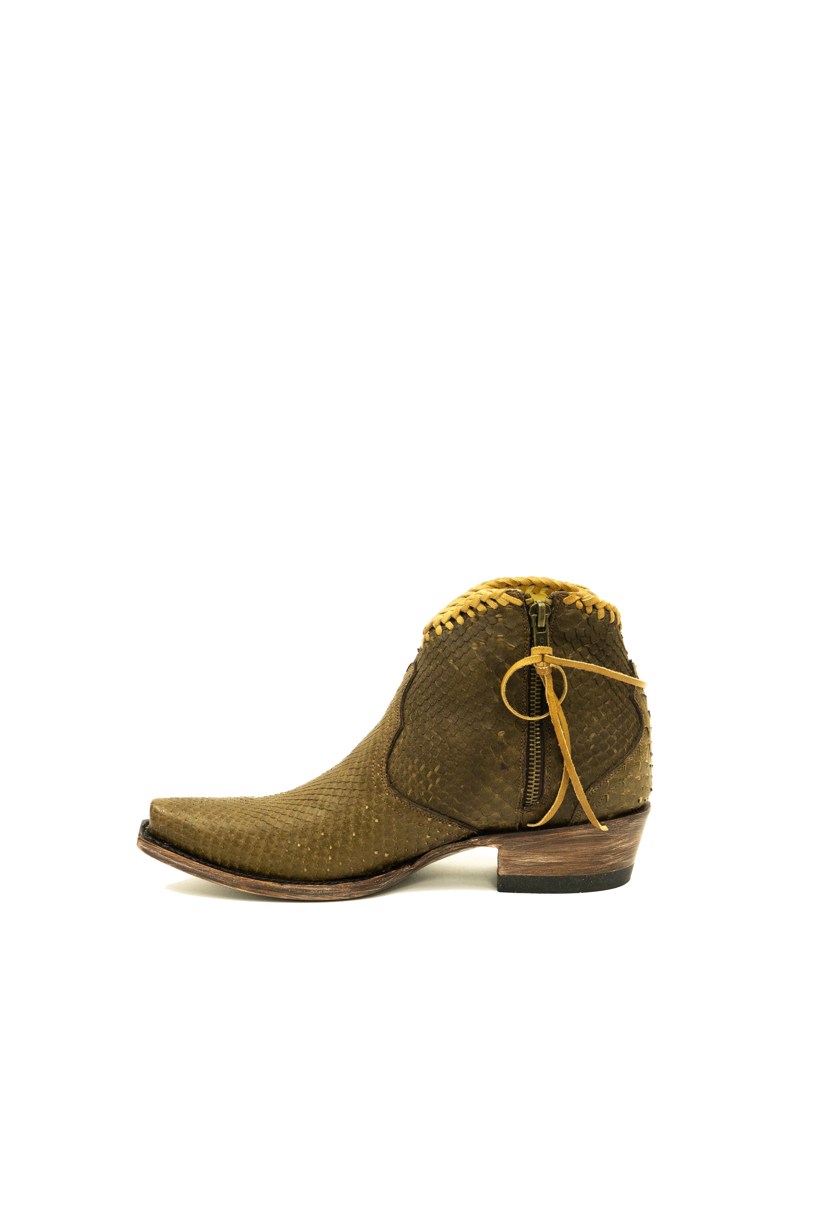 Allens Brand - Python - Olive