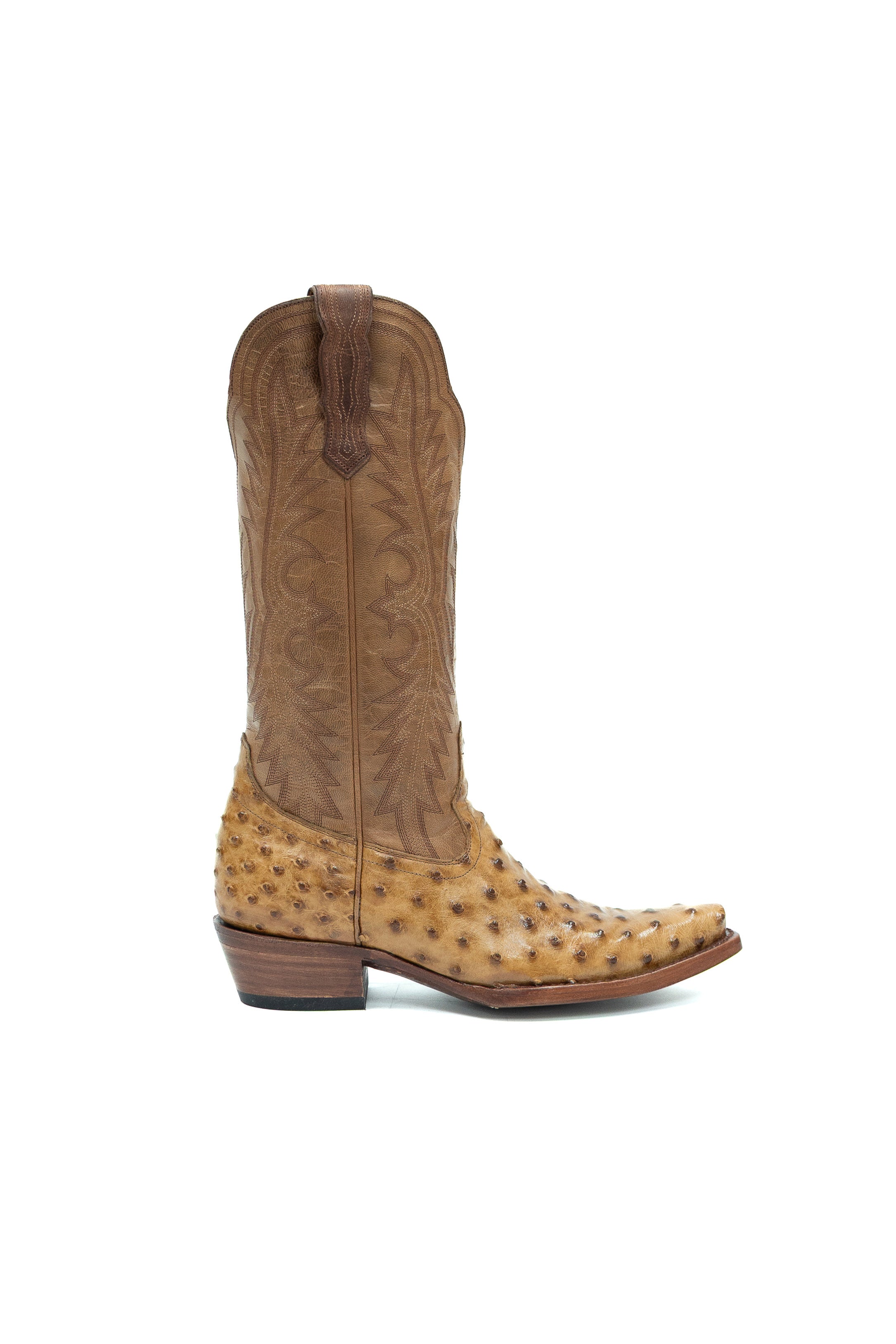 Allens Brand - Chloe Full Quill Ostrich - Umber