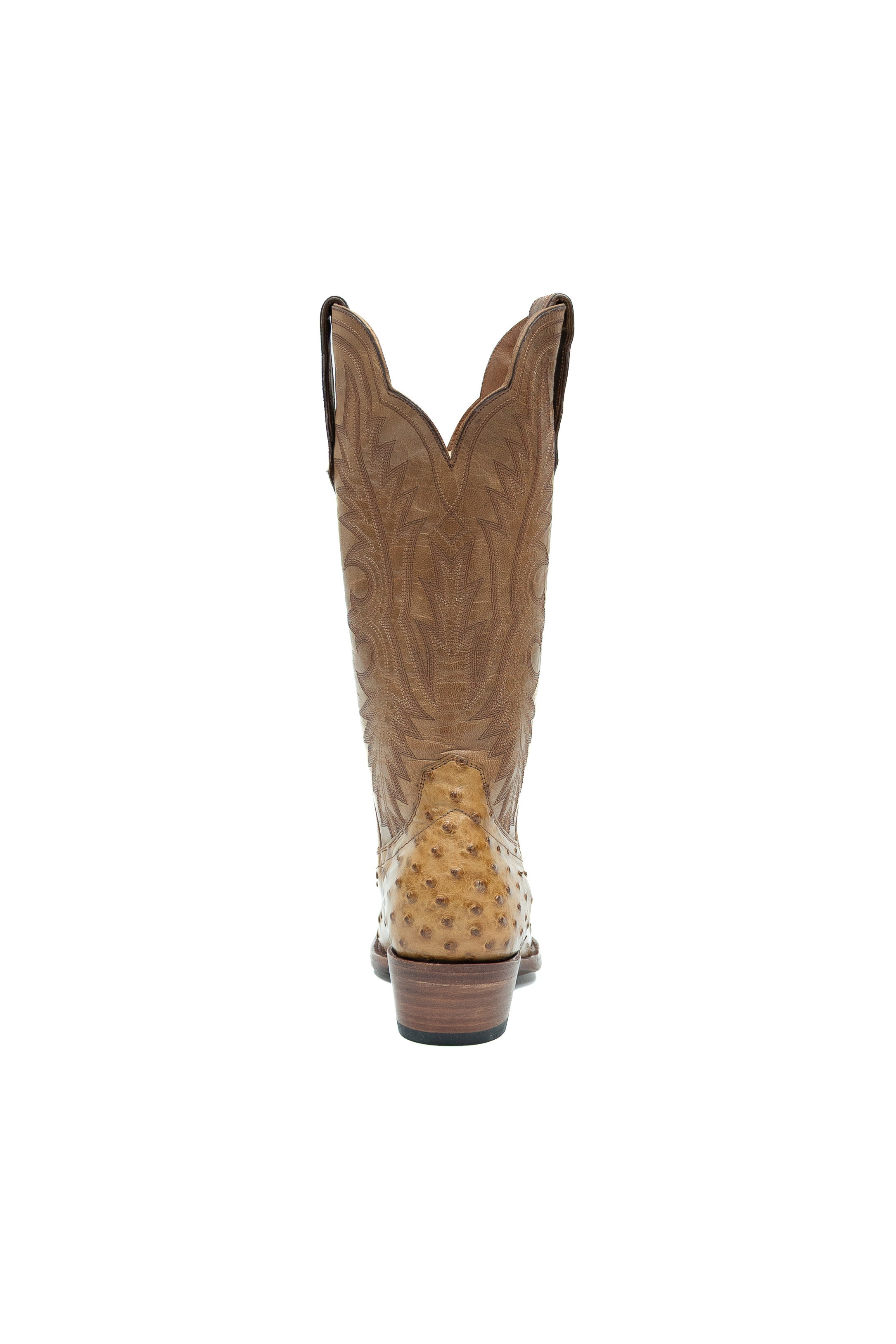 Allens Brand - Chloe Full Quill Ostrich - Umber