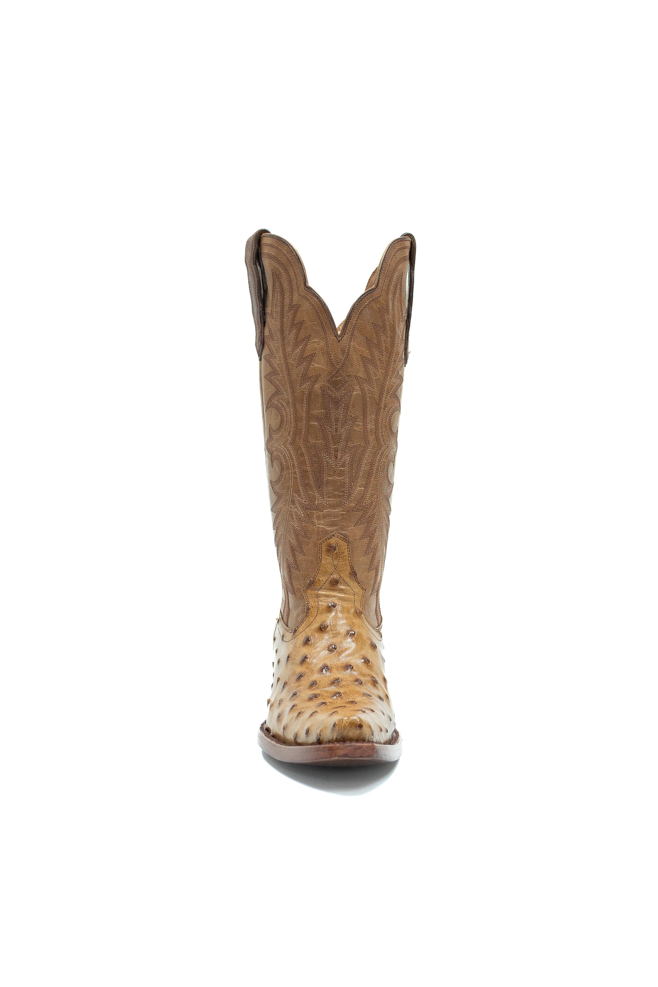 Allens Brand - Chloe Full Quill Ostrich - Umber
