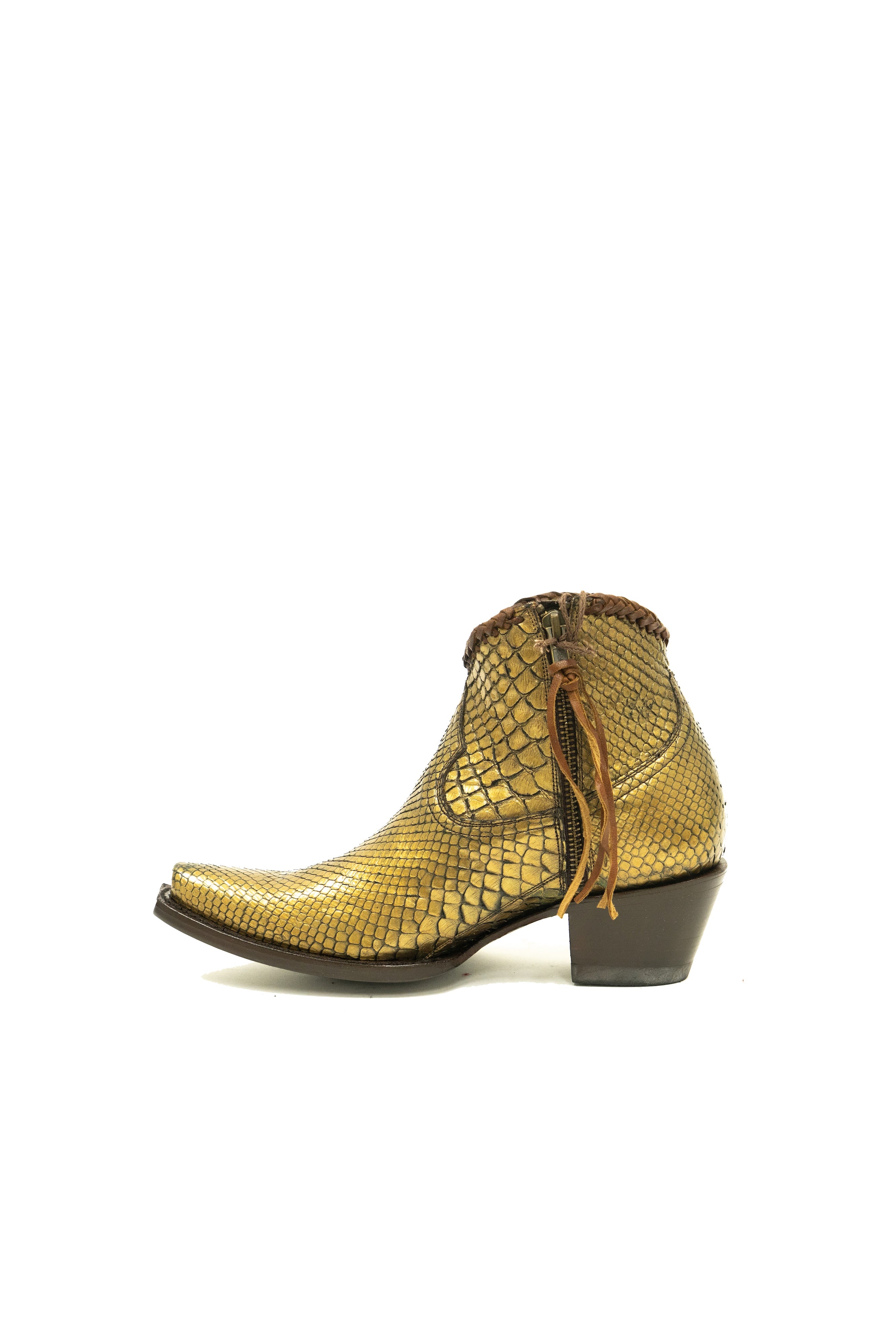 Allens Brand - Python - Gold