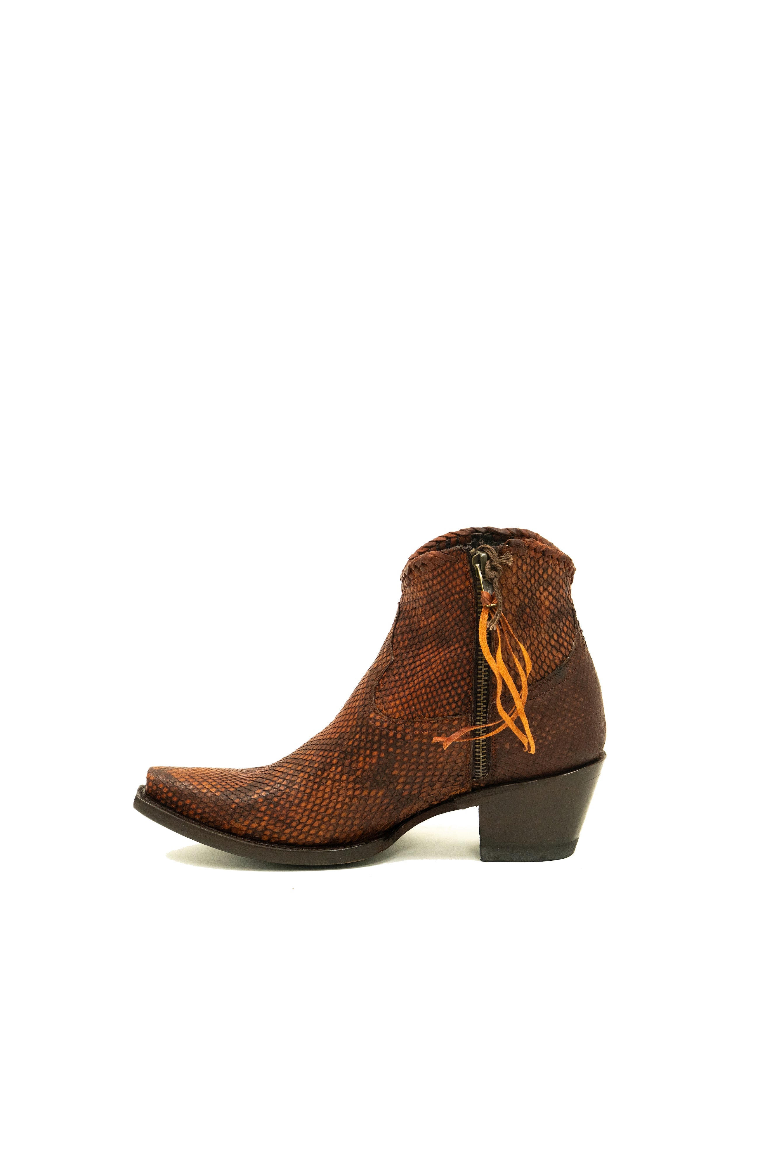 Allens Brand - Python - Amber