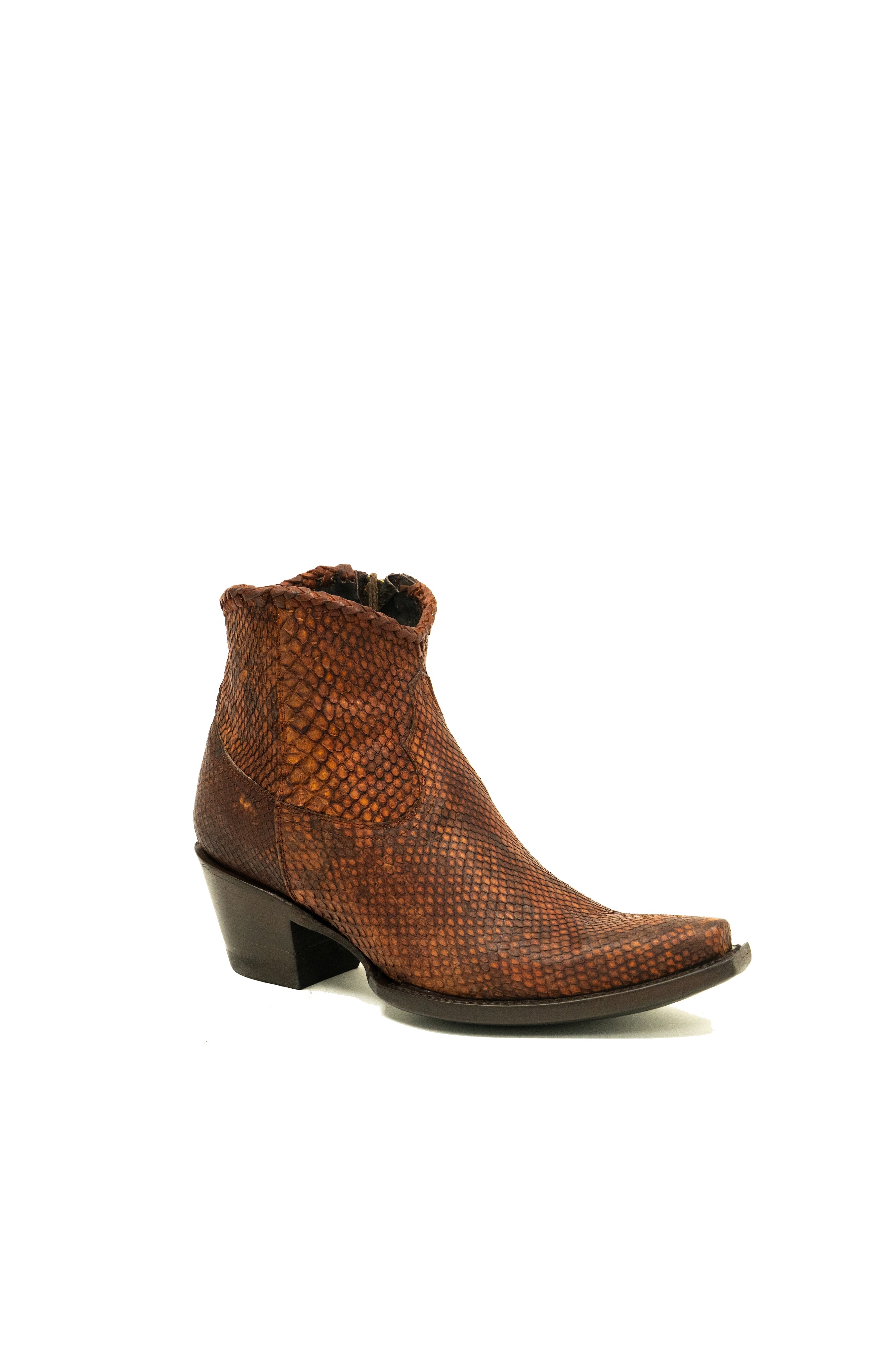 Allens Brand - Python - Amber