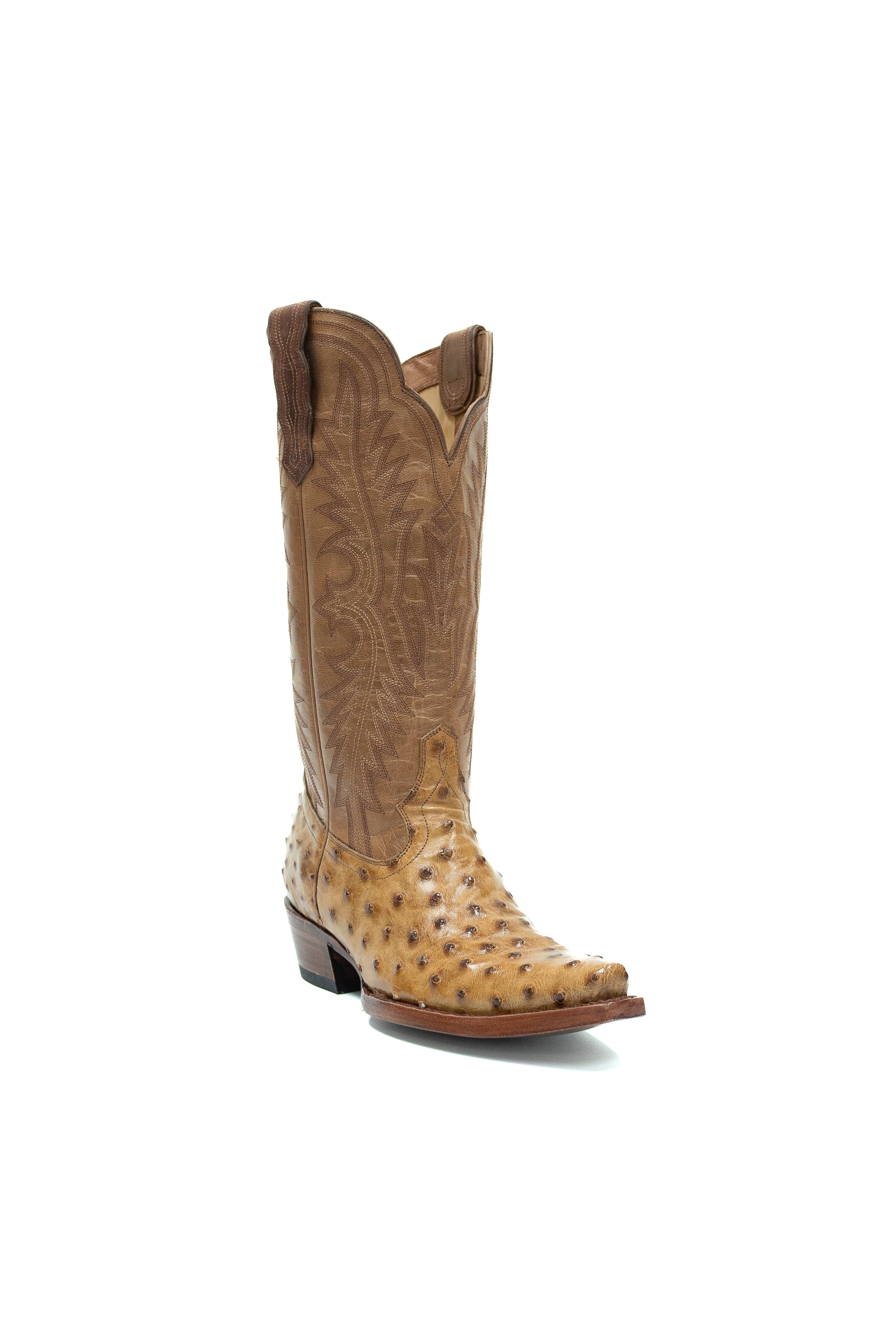 Allens Brand - Chloe Full Quill Ostrich - Umber