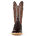 Resistol Boots - Full Quill Ostrich - Square Toe - Nicotine view 4